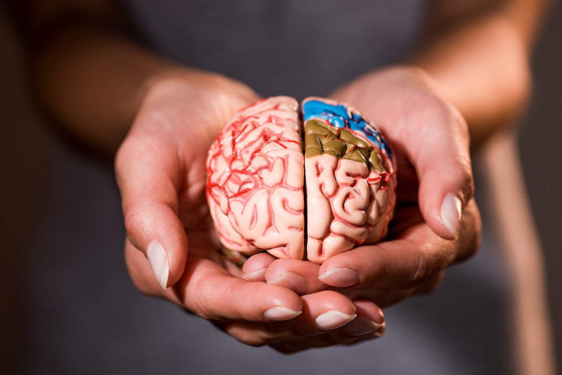 Pink Noise and Its Effects on the Brain