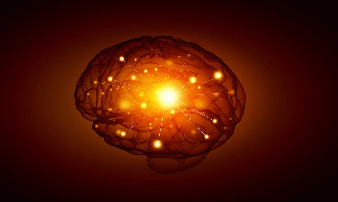 Brain Photomodulation Intranasal Light Therapy For Dementia & Alzheimer’s Disease