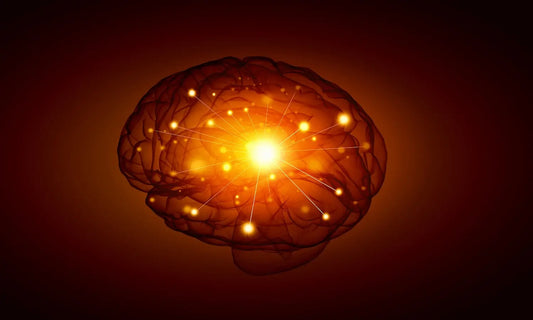 Brain Photomodulation Intranasal Light Therapy For Dementia & Alzheimer’s Disease