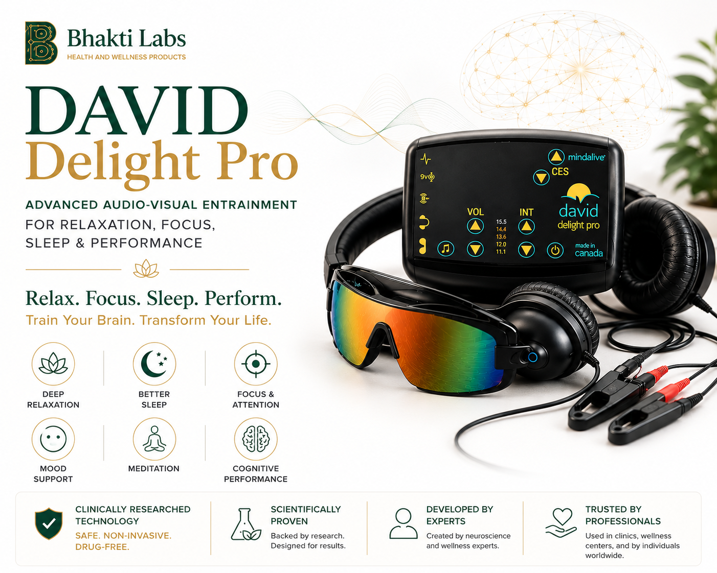 DAVID Delight Pro Brain Entrainment System – Purchase Bhakti Labs
